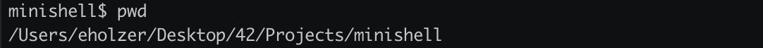 image of the minishell